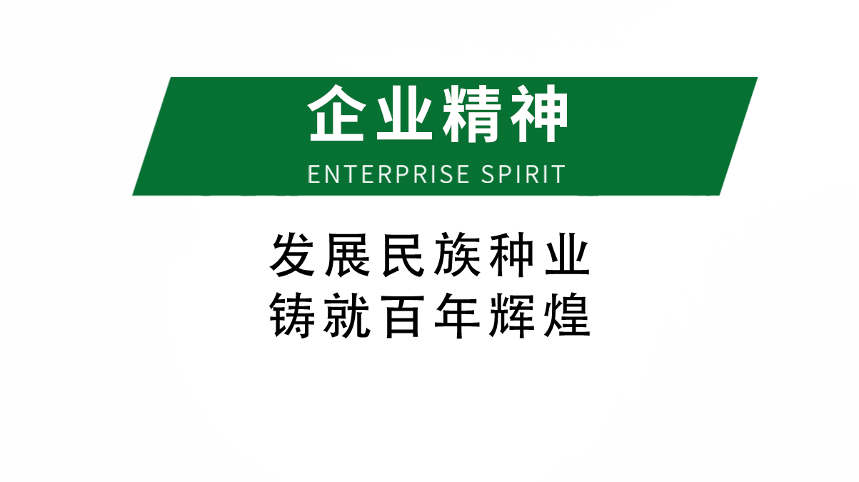 企業(yè)精神