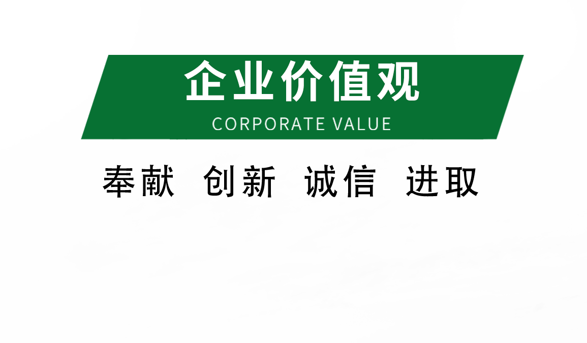 企業(yè)價(jià)值觀