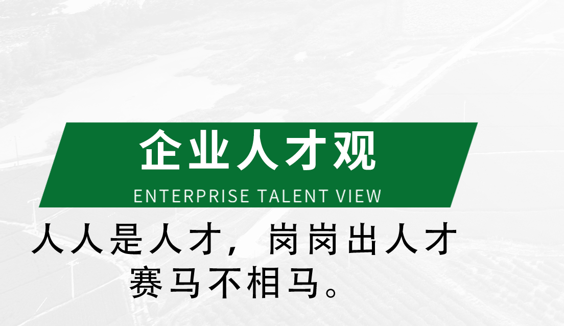 企業(yè)人才觀