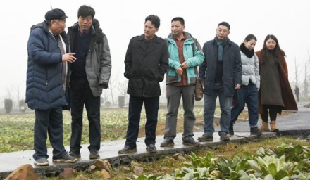 方智遠院士到集團院士工作站 指導工作