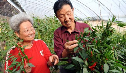 中國農(nóng)業(yè)怎么搞？機(jī)遇在哪里？前景如何？