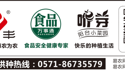 將希望的種子播進春天