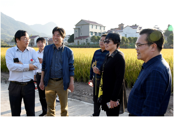 杭州市農業局和財政局領導考察杭種集團水稻超高產示范現場2.png