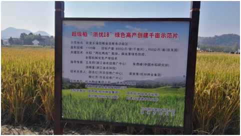 農(nóng)耕文化在杭種集團(tuán)水稻高產(chǎn)示范方舞動(dòng)3.png