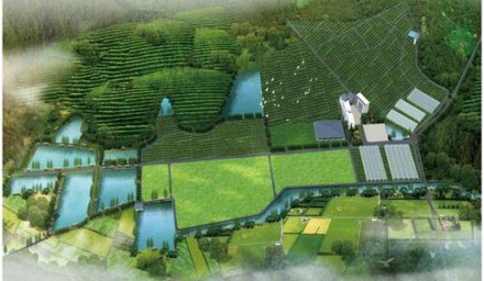 種業(yè)集團(tuán)成功申報杭州市院士工作站