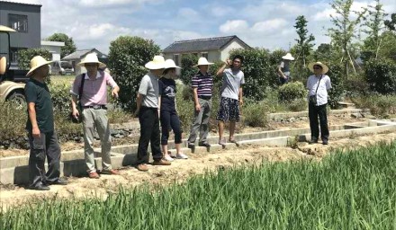 市科協領導蒞臨我司院士工作站考察
