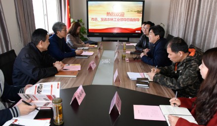 市總工會領導蒞臨我公司調研