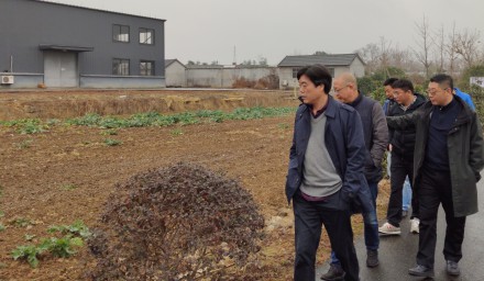 辦出浙江特色，展現國企風采——杭州種業集團召開“2020全國?浙江鮮食玉米新品種大會”第三次籌備會議