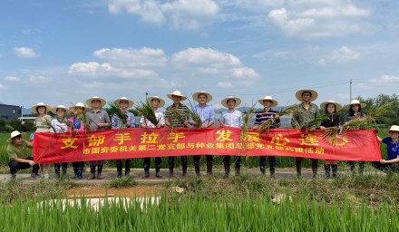 支部手拉手、發(fā)展心連心  市國資委與杭州種業(yè)集團開展基層黨建共建活動