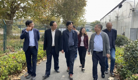 浙江省農(nóng)科院林福呈院長蒞臨集團種科院育種基地考察指導