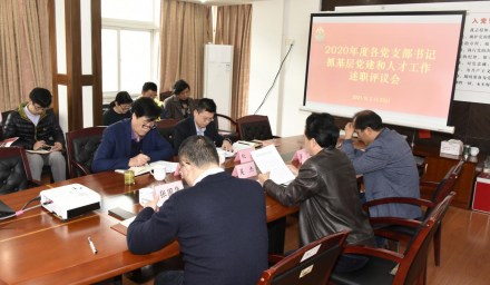 集團(tuán)公司召開(kāi)2020年度黨支部書(shū)記抓基層黨建和人才工作述職評(píng)議會(huì)
