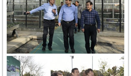 全國(guó)農(nóng)業(yè)技術(shù)推廣服務(wù)中心副主任劉信到我司考察指導(dǎo)