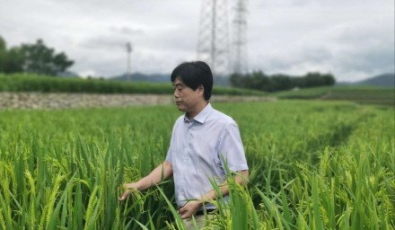 杭州種業集團積極創建山地變糧倉“浙江樣板”