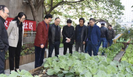 未來社區(qū)城市微農(nóng)項目觀摩研討會 取得圓滿成功