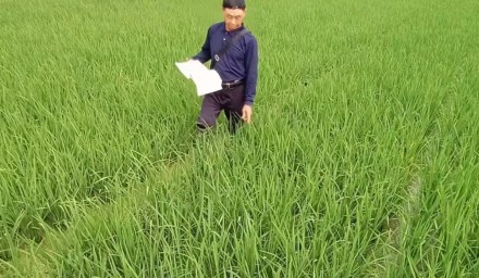 控疫情保生產(chǎn) ︳杭州種業(yè)集團(tuán)南繁基地別樣的春節(jié)