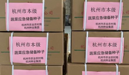控疫情保生產(chǎn) ︳杭州種業(yè)集團(tuán)聚焦打贏疫情防控戰(zhàn)全力保障供種生產(chǎn)