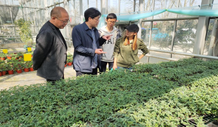 種業(yè)開新局 | 孫利祥董事長(zhǎng)赴徑山基地指導(dǎo)春耕生產(chǎn)、新品種試驗(yàn)工作