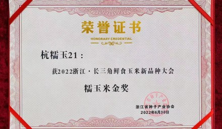 杭州種業集團糯玉米品種杭糯玉21再獲金獎