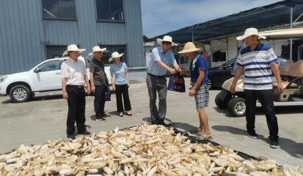 市發改農林工會赴杭州種業集團慰問高溫一線職工