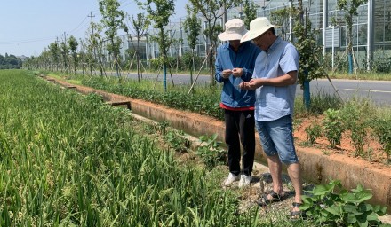 省市縣有關種子管理部門聯(lián)合赴集團儲備種子生產基地督查檢查