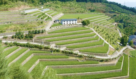 杭州種業集團“種?豐收”黨建品牌唱響共同富裕田園四季歌