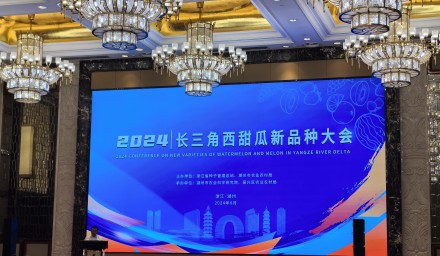 喜報(bào)：集團(tuán)品種 ‘浙甜105’ ‘蘭芯’再獲嘉獎(jiǎng)！