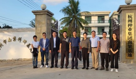 浙江省農(nóng)科院副院長李國景一行蒞臨杭州種業(yè)集團南繁基地調(diào)研指導(dǎo)