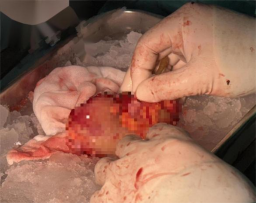 from clipboard from clipboard