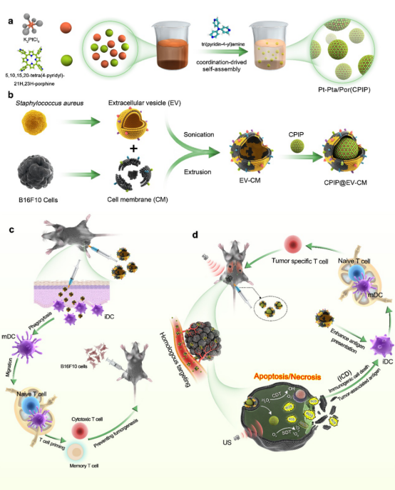 from clipboard from clipboard
