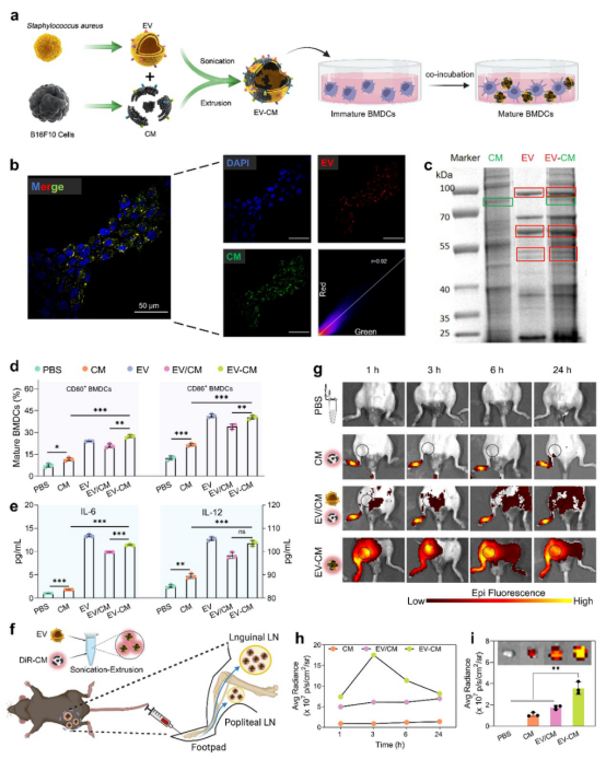 from clipboard from clipboard