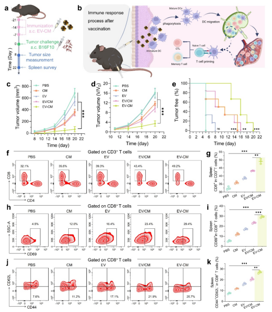 from clipboard from clipboard