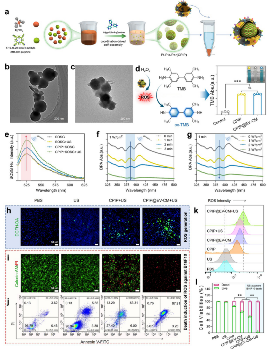 from clipboard from clipboard