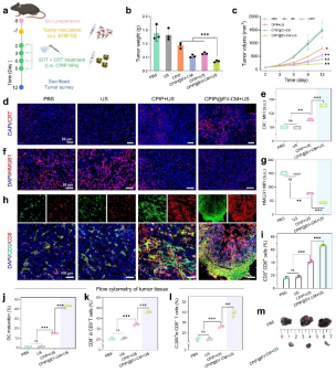 from clipboard from clipboard