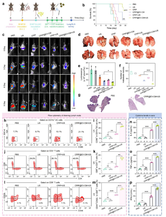 from clipboard from clipboard